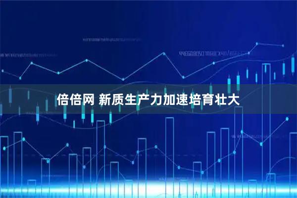 倍倍网 新质生产力加速培育壮大