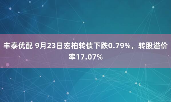 丰泰优配 9月23日宏柏转债下跌0.79%，转股溢价率17.07%