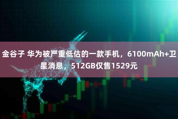 金谷子 华为被严重低估的一款手机，6100mAh+卫星消息，512GB仅售1529元