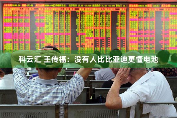 科云汇 王传福：没有人比比亚迪更懂电池